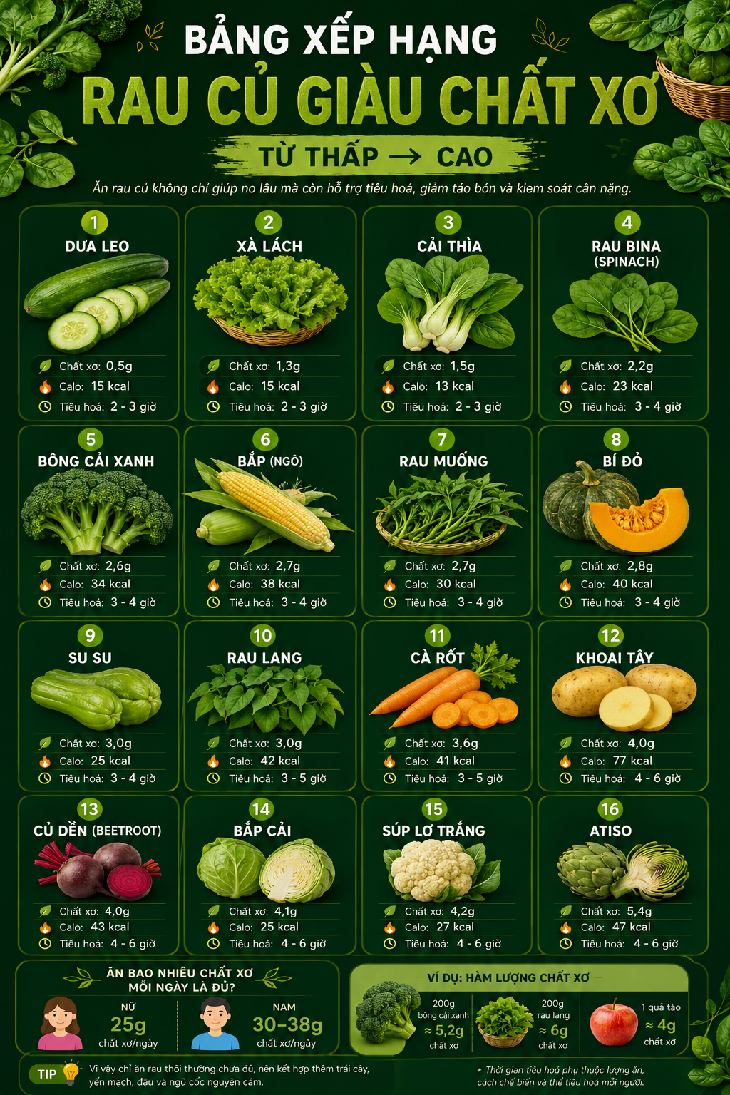 Nhóm chất xơ